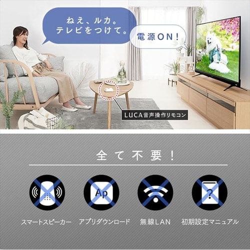 IRIS OHYAMA テレビ 55型 55インチ 55V 4K 音声操作 アイリス