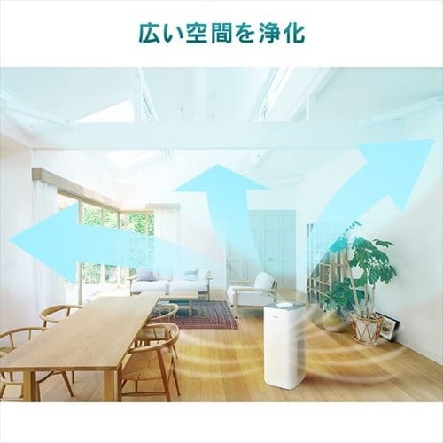 C@ 36 IAP-A100 _3