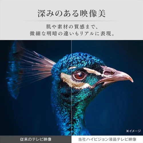 y󂠂zter 40V LT-40C420B ubN_7