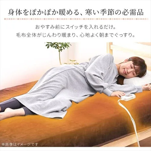 電気毛布 188×130 掛け敷きタイプ  省エネ室温センサー付 自動切タイマー付 EHB-F1813-DT 洗える フランネル素材 _2