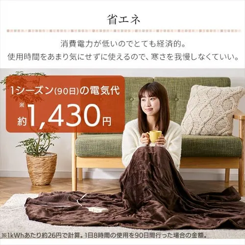 電気毛布 188×130 掛け敷きタイプ  省エネ室温センサー付 自動切タイマー付 EHB-F1813-DT 洗える フランネル素材 _9