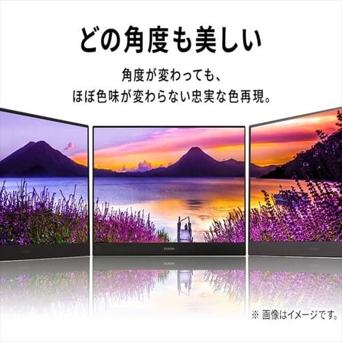 PC/タブレット PC周辺機器 ポータブルモニター ILD-A1616MS-B ブラック