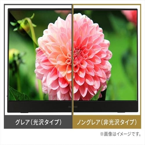PC/タブレット PC周辺機器 ポータブルモニター ILD-A1616MS-B ブラック