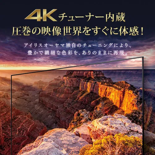 【訳あり】4Kチューナー内蔵液晶テレビ 55V LUCA LT-55D6210B ブラック_2