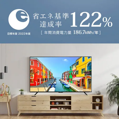 【訳あり】4Kチューナー内蔵液晶テレビ 55V LUCA LT-55D6210B ブラック_12