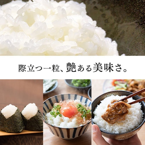 圧力IHジャー炊飯器 5.5合 RC-PJ50-B H518132F│アイリスプラザ│アイリスオーヤマ公式通販サイト