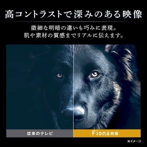 er 43V^ 4KΉ Fiona 43UB10PBysz_6