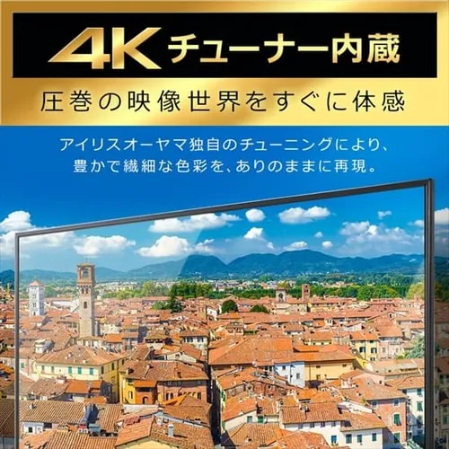 【訳あり】テレビ 50V型 4K QLED Fiona 50XD2B_4
