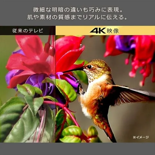 【訳あり】テレビ 50V型 4K QLED Fiona 50XD2B_8