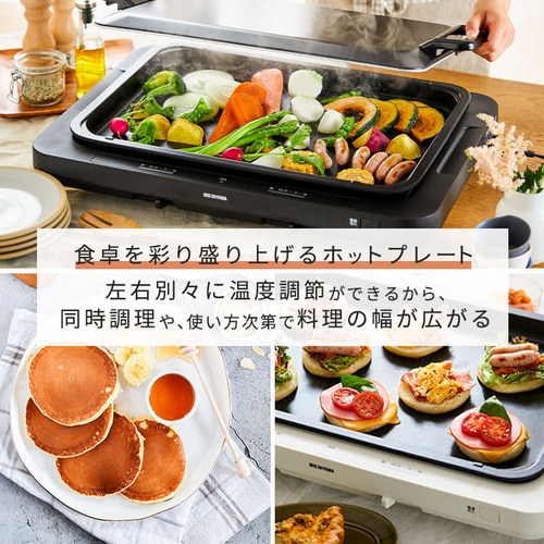 プレート2枚付きの温度調節可能なホットプレート