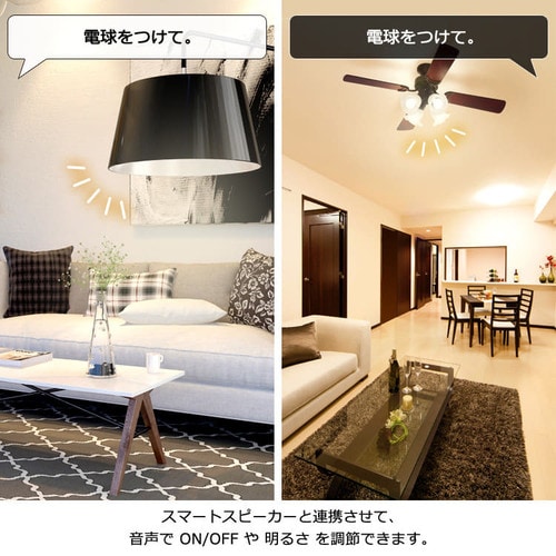 LED電球 E26 広配光 60形相当 調光 スマートスピーカー対応照明 LDA9L-G/D-86AITG H521538F│アイリスプラザ│ アイリスオーヤマ公式通販サイト