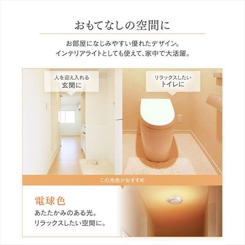 plCg ^ LED 750lm dF  L Lb` ʏ N[[bg gC u Ɩ SCL-75L-LGP_8