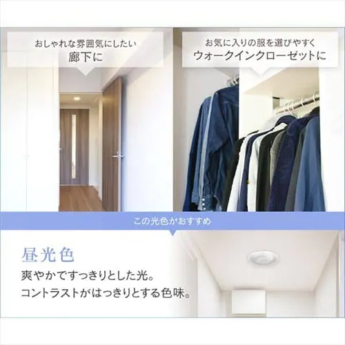plCg ^ LED 750lm dF  L Lb` ʏ N[[bg gC u Ɩ SCL-75L-LGP_9