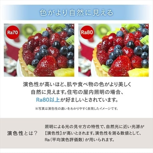 楽天市場】手軽に使える量子波エネルギー照射機「量子LEDライト