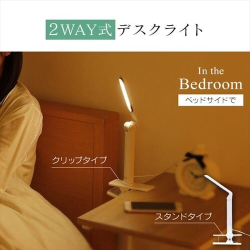 LEDfXNCg 2WAY USBd LDL-203CP zCg_3