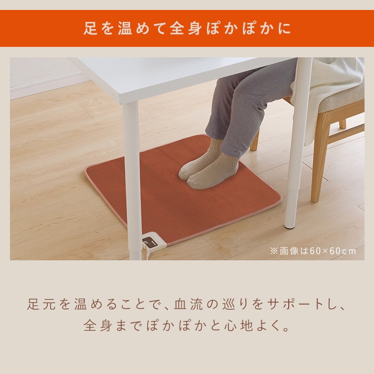 ホットマット 60×60 温度調節2段階 HCM-60S-T ブラウン H568726