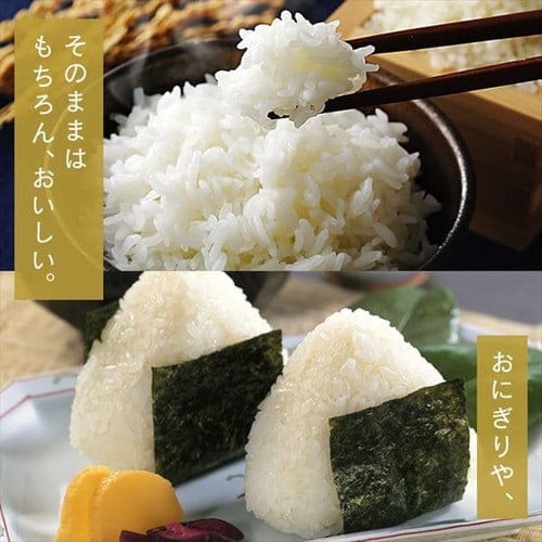 令和6年産 低温製法米 秋田県産 あきたこまち 10kg 1571152