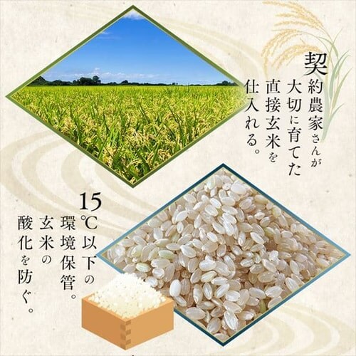 アイリスの低温製法米 無洗米 宮城県産ひとめぼれ 10kg（5kg×2） 1915790 │アイリスプラザ│アイリスオーヤマ公式通販サイト