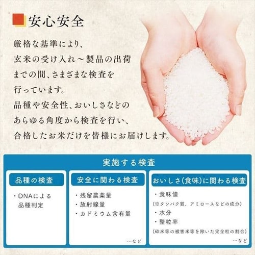 アイリスの低温製法米 無洗米 宮城県産ササニシキ 10kg(5kg×2袋) 1571230 │アイリスプラザ│アイリスオーヤマ公式通販サイト アイリスの低温製法米 無洗米 宮城県産ササニシキ 10kg(5kg×2袋) 1571230 │アイリスプラザ│アイリスオーヤマ公式通販サイト