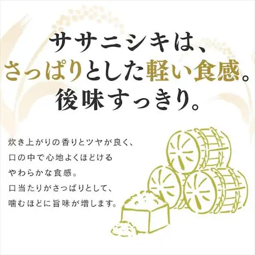 yߘa5NxYzy5kgz   {錧Y TTjVL 5kg_6