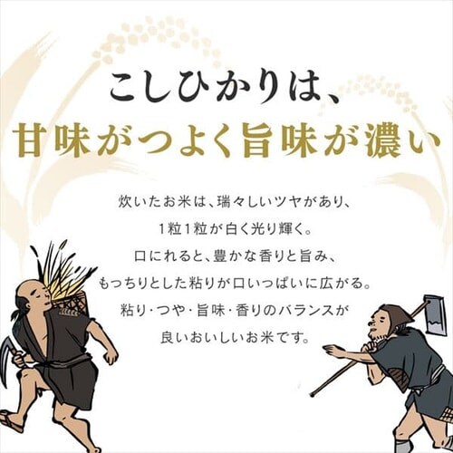ACX̒ቷ@ VYЂ 5kgE10kgyvU}[Pbgz_6