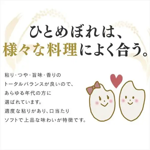 ߘa6NY ቷ@ {錧Y ЂƂ߂ڂ 10kg_6