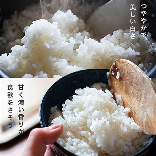 ߘa6NY   kCY ߂҂肩 2pbN 300g _4