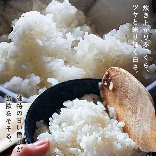  VY RVqJ 1.5kg_3