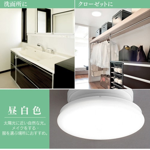 4個セット】シーリングライト LED 小型 薄型 600lm 昼白色 玄関
