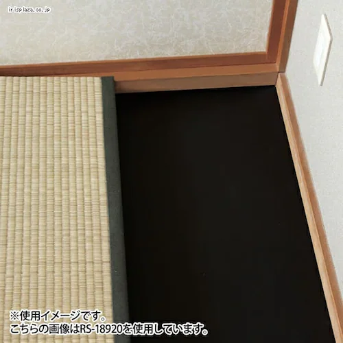 y󂠂zo[V[g [^Cv@RS-18907R_2
