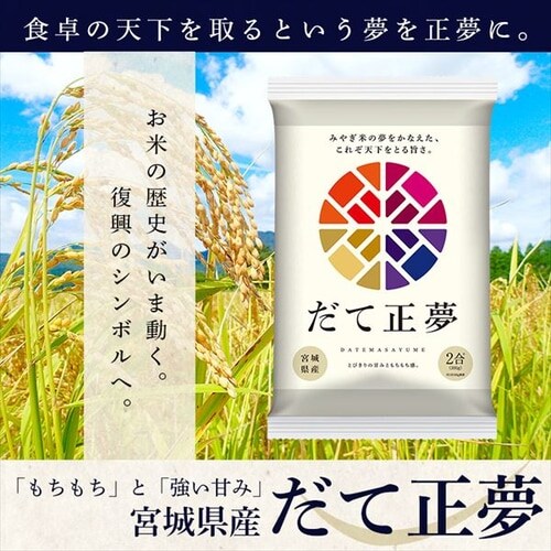  {錧Y Đ 2pbN 300g _2
