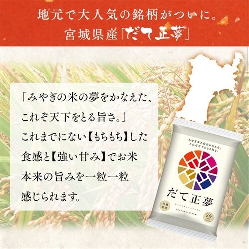  {錧Y Đ 2pbN 300g _3