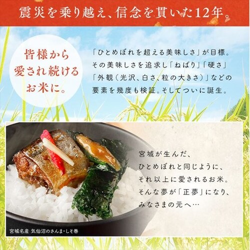  {錧Y Đ 2pbN 300g _4
