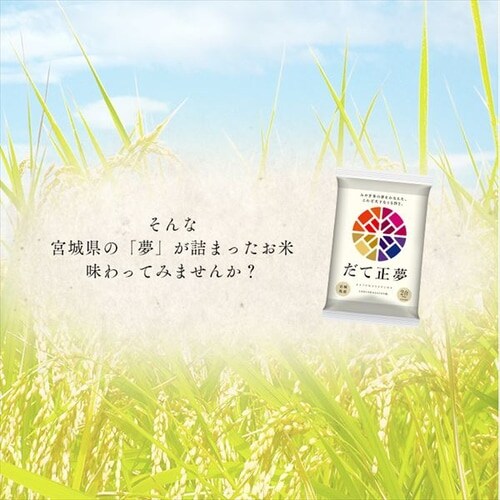  {錧Y Đ 2pbN 300g _5