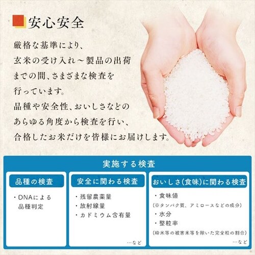  {錧Y Đ 2pbN 300g _11