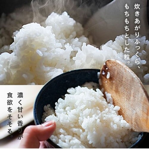  {錧Y Đ `bNt 2kg _3