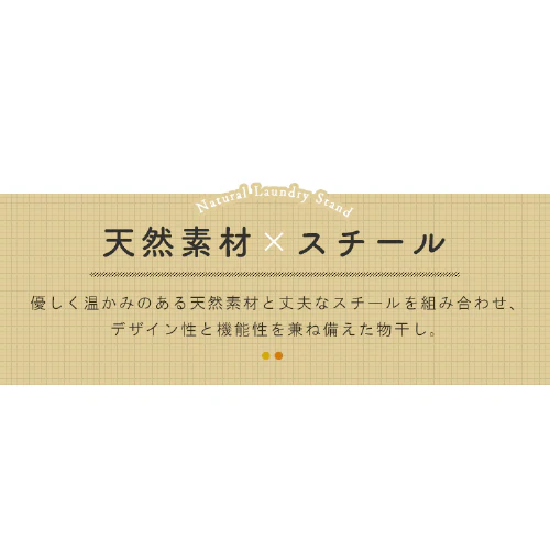  p nC^Cv NRMH-950B_5