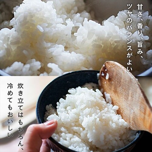 y5kgz   a̋P 5kg_2