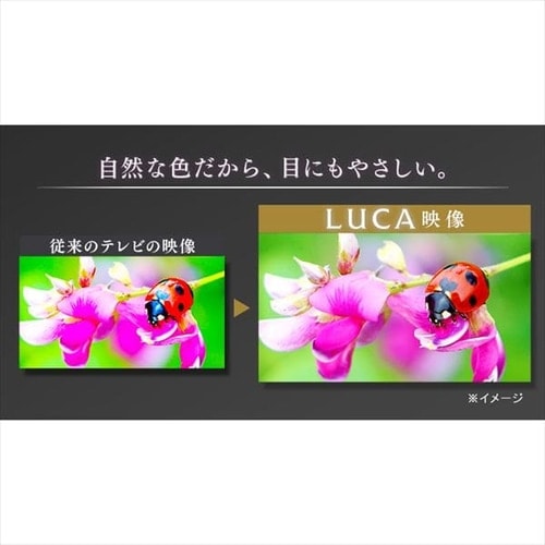 4K対応液晶テレビ 43V｜LUCA 4K対応ベゼルレスタイプ｜テレビ