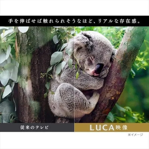LUCA 4K対応液晶テレビ 43インチ LT-43B620_13