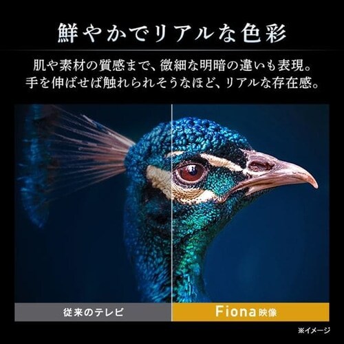≪終売品在庫限り≫液晶テレビ 24V 24WB10 ブラック H573803F 