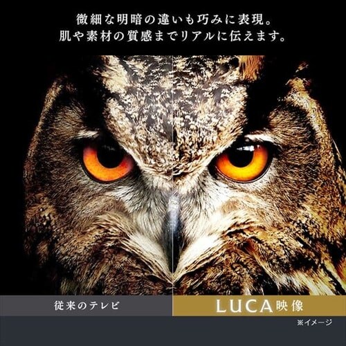 4Kチューナー内蔵液晶テレビ 55V ブラック 55XUB30