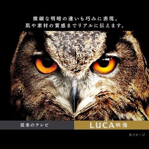 y󂠂zyݒu݁z4K`[i[ter 55V ubN 55XUB30_10