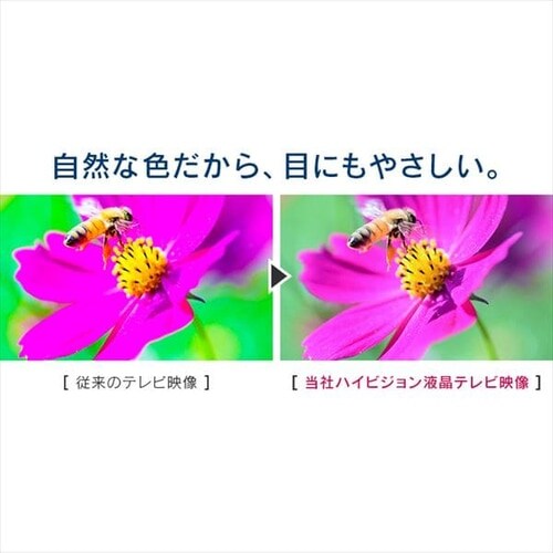 LUCA 液晶テレビ 24V型 LT-24B320 H573919 │アイリスオーヤマ LUCA 液晶テレビ 24V型 LT-24B320 H573919 │アイリスオーヤマ