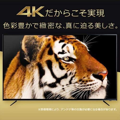 y󂠂z4j`[i[ter 55V Fiona ubN 55XUC30Py\z_6