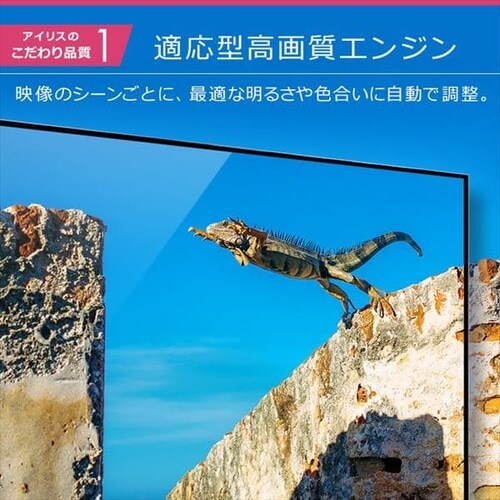 y󂠂z4j`[i[ter 55V Fiona ubN 55XUC30Py\z_9