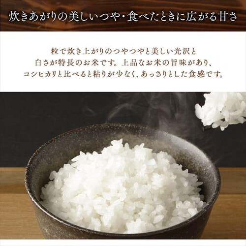  R`Y P `bNt 2kg_3