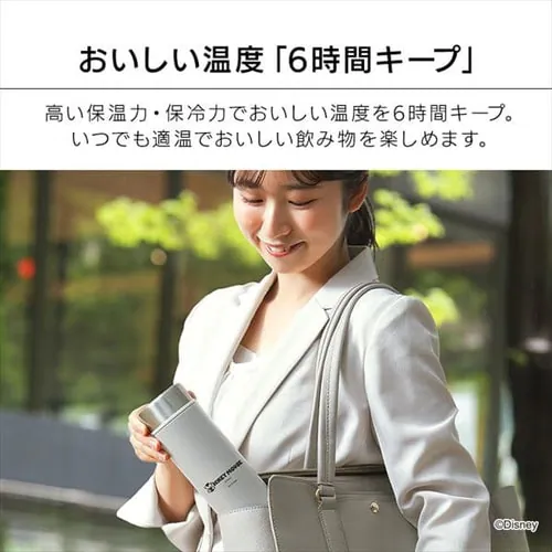 XeXP[^C{g XN[ SBS-500D v[_6
