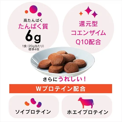プロテインクッキー チョコ味 250g【プラザマーケット】_4