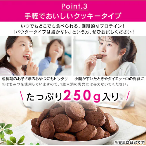 プロテインクッキー チョコ味 250g【プラザマーケット】_11